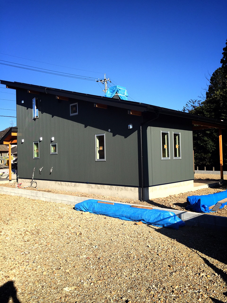 フリーク 岐阜 イメージポケモンコレクション